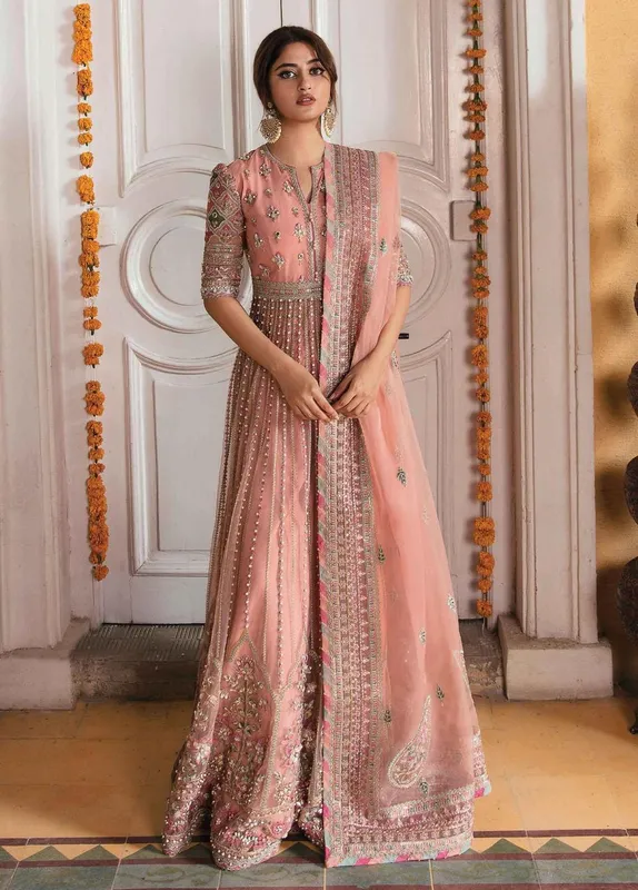 Qalamkar Luxury Collection Peach Pink Net – view 1 – Poshaq