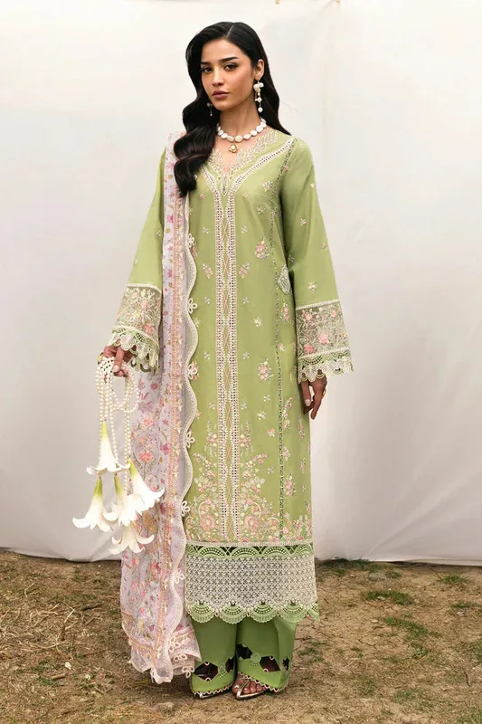 Qalamkar Qlinekari Lawn Apple Green Chiffon – view 1 – Poshaq
