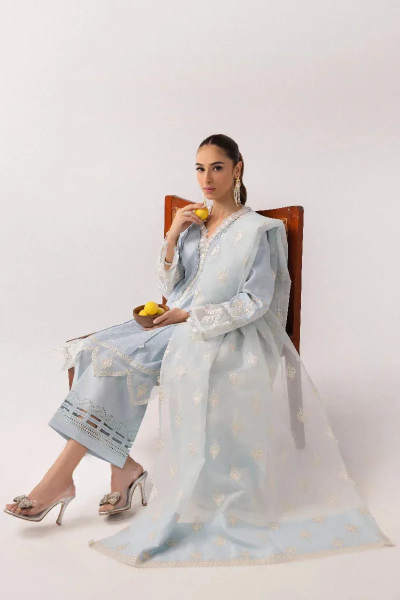 Qalamkar Basic Pret 25 Light Blue Jacquard – view 4 – Poshaq