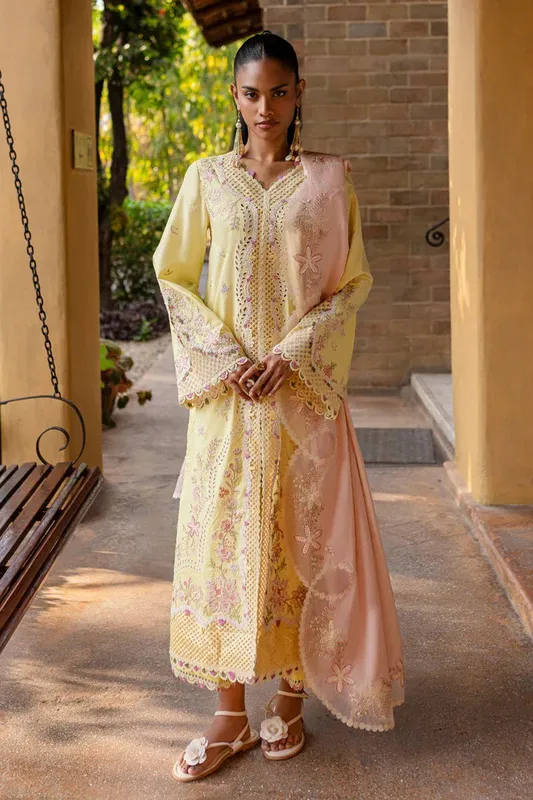 Qalamkar Q Line Lawn 25 Dust Yellow Lawn – view 1 – Poshaq