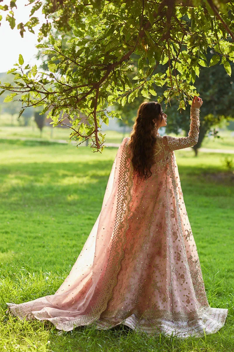 Qalamkar Shadmani Luxury Formals Pale Pink Organza – view 3 – Poshaq
