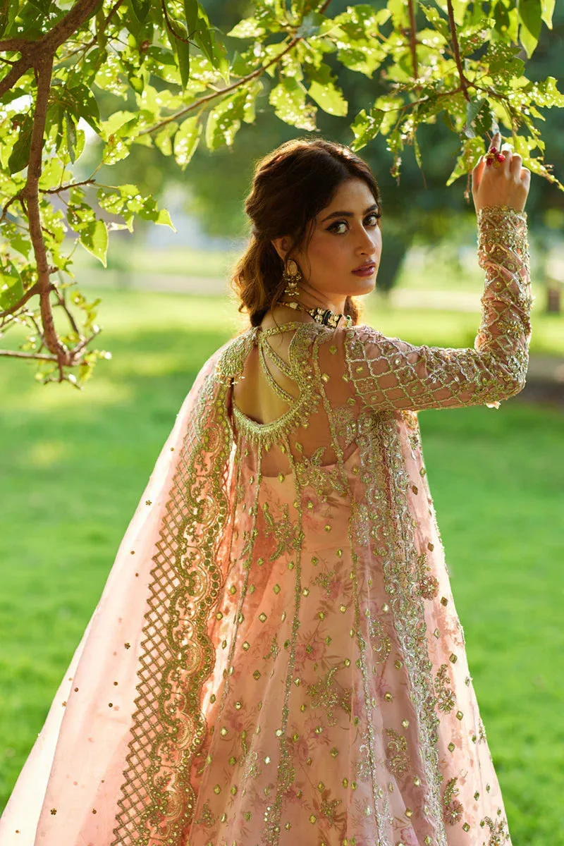 Qalamkar Shadmani Luxury Formals Pale Pink Organza – view 5 – Poshaq