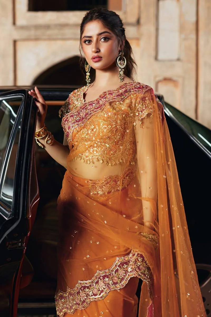 Qalamkar Shadmani Luxury Formals Orange Raw Silk – view 4 – Poshaq