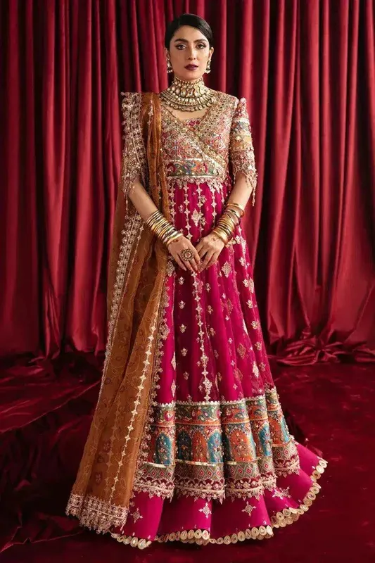 Qalamkar Heer Ranjha 23 Pink Organza – view 1 – Poshaq