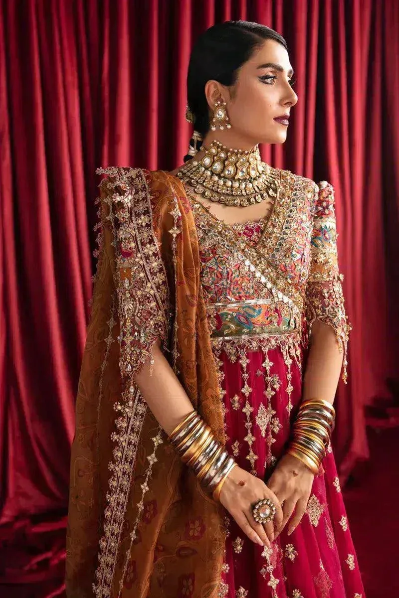 Qalamkar Heer Ranjha 23 Pink Organza – view 2 – Poshaq