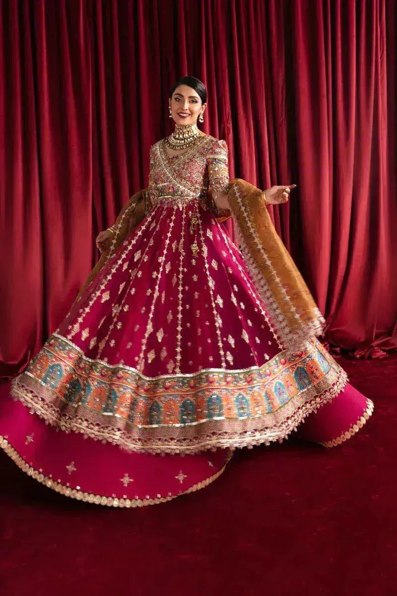 Qalamkar Heer Ranjha 23 Pink Organza – view 3 – Poshaq