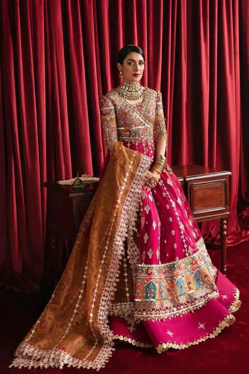Qalamkar Heer Ranjha 23 Pink Organza – view 4 – Poshaq