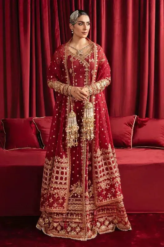 Qalamkar Heer Ranjha 23 Red Net – view 1 – Poshaq