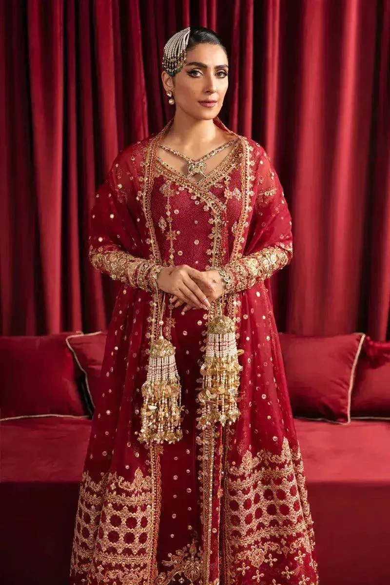 Qalamkar Heer Ranjha 23 Red Net – view 2 – Poshaq
