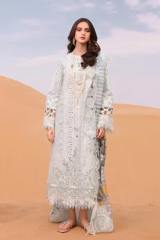 Qalamkar Chikankari Eid Edit 24 Grey Lawn – view 1 – Poshaq