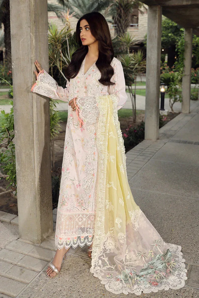 Qalamkar Festive Lawn 2024 Pink Chiffon – view 6 – Poshaq