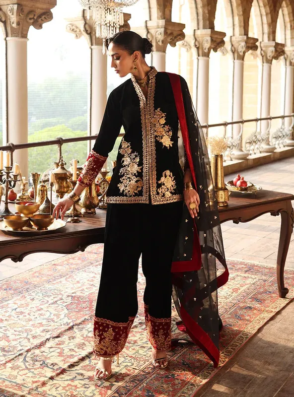 Zainab Chottani Velura Velvet Edit 25 Black Organza – view 1 – Poshaq