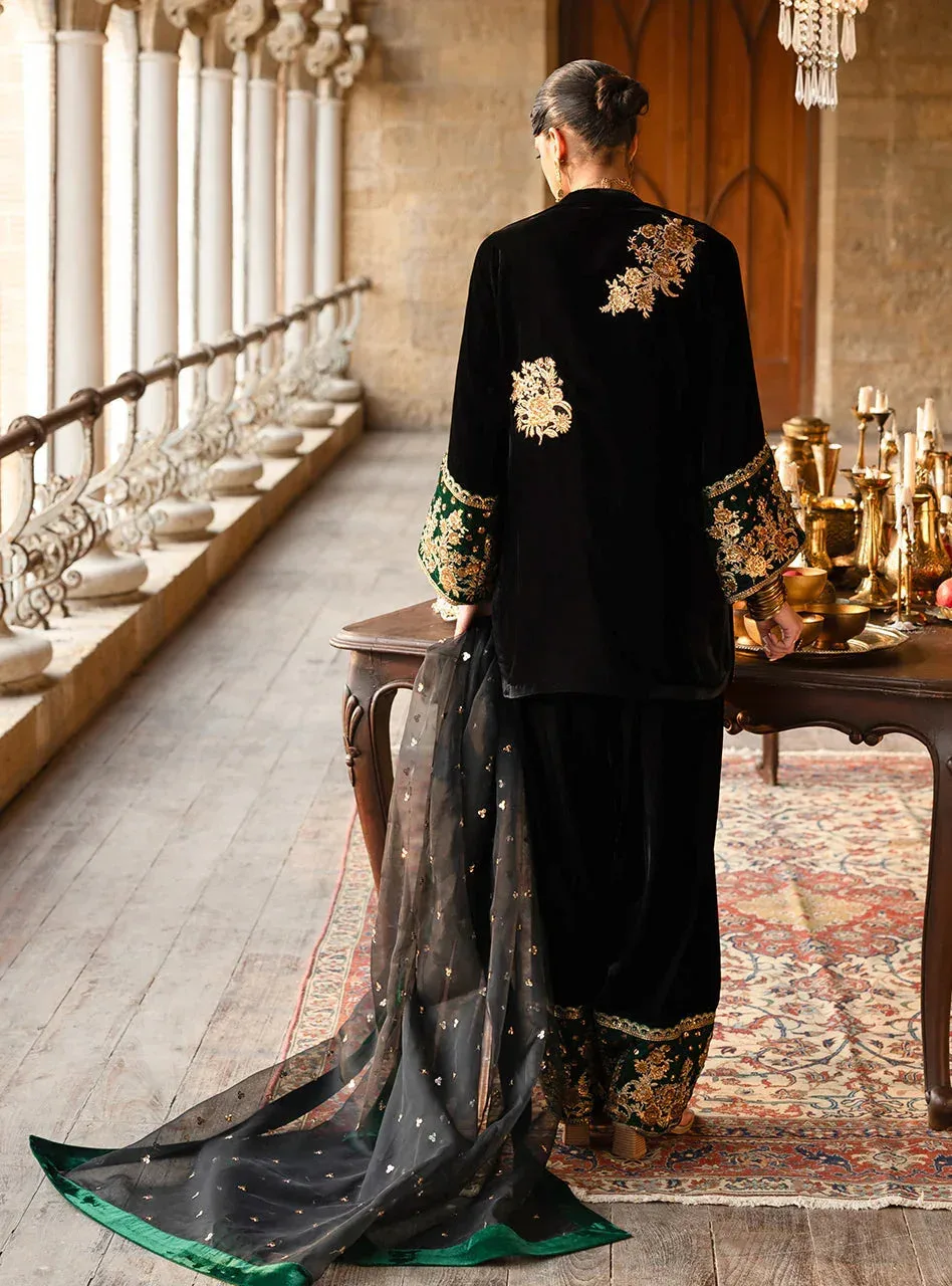 Zainab Chottani Velura Velvet Edit 25 Black Organza – view 2 – Poshaq