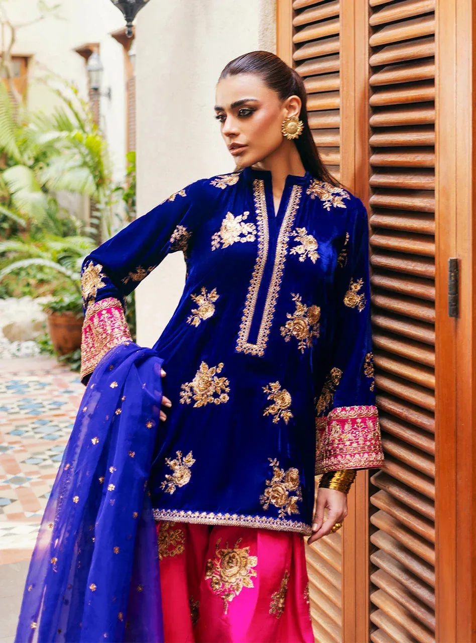 Electric blue velvet shirt with gold embroidery, raw silk shalwar and organza dupatta – view 4 – Poshaq