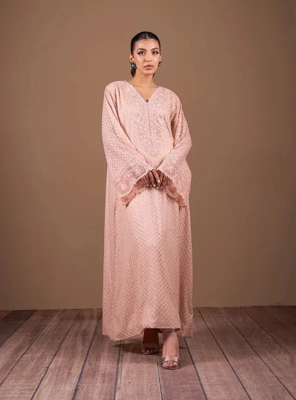 Zainab Chottani Semi Formals Pink Chiffon – view 1 – Poshaq
