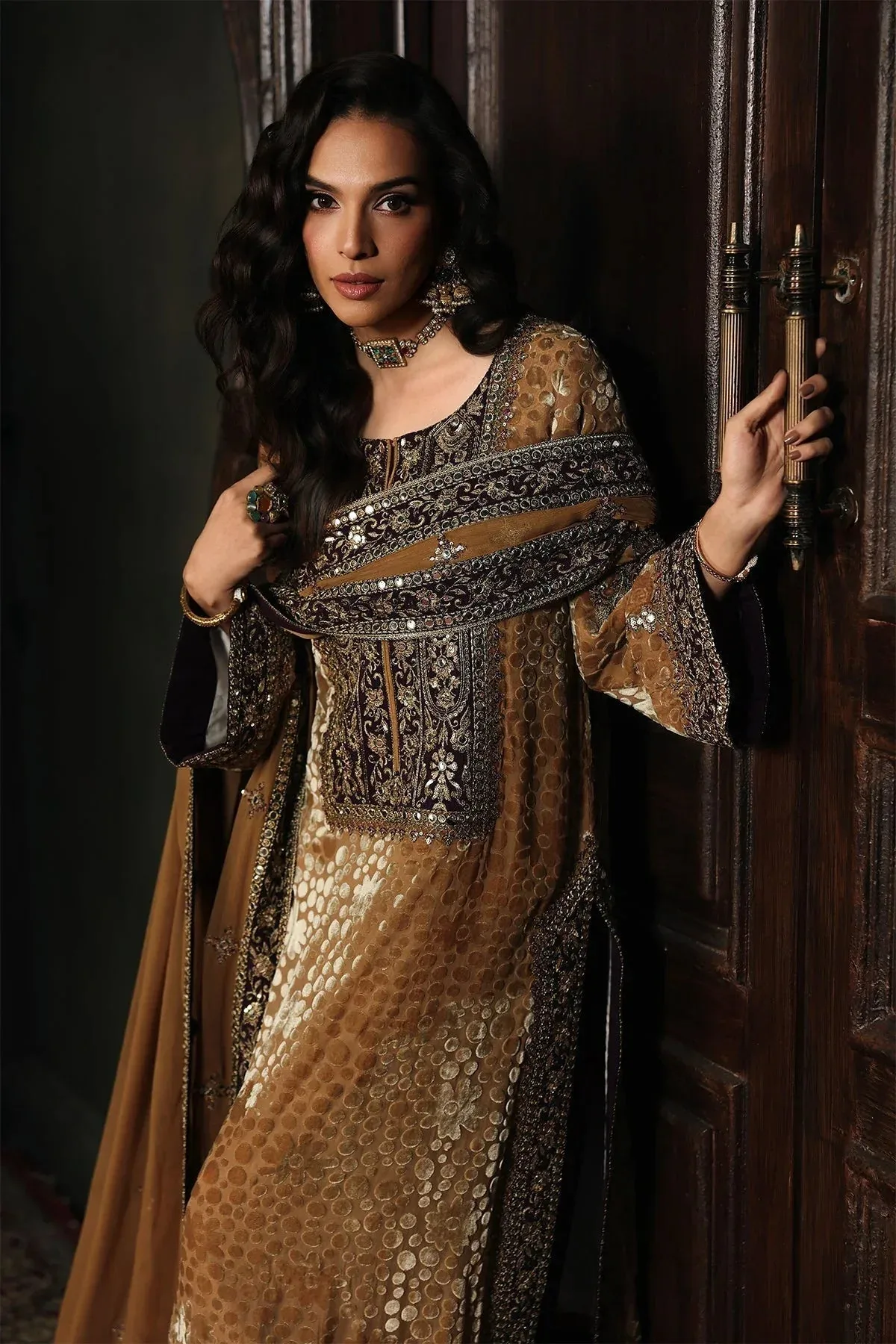 Charizma Signora Velvet Brown Chiffon – view 5 – Poshaq