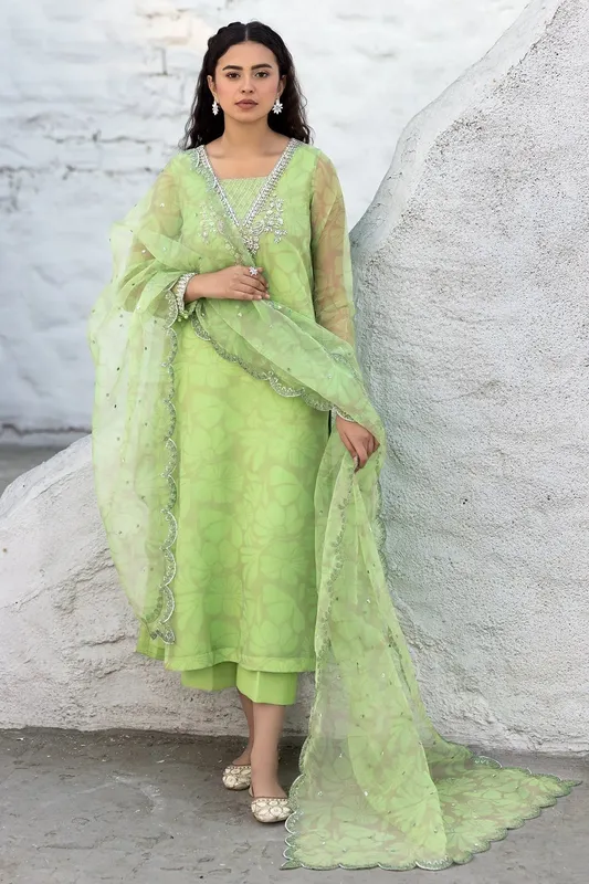 Charizma Festive Pret Parrot Green Raw Silk – view 1 – Poshaq