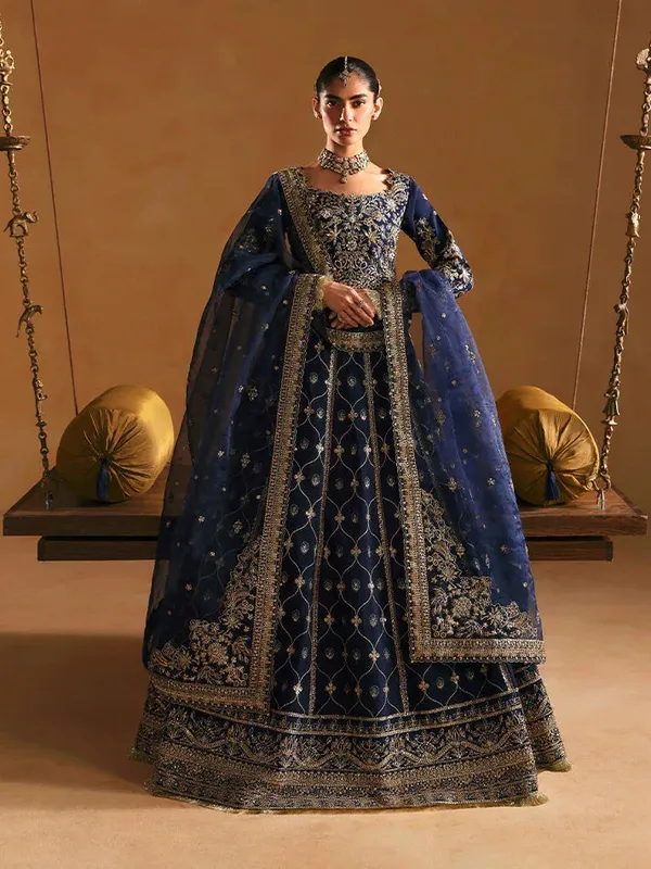 Gulaal Wedding 25 Navy Blue Organza – view 1 – Poshaq