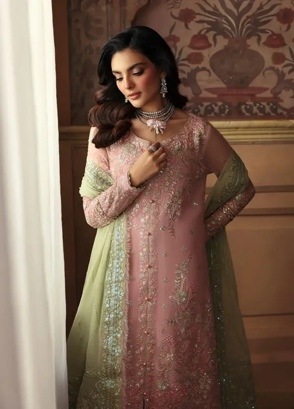 Gulaal I Evayna Embroidered Chiffon Pink Raw Silk – view 1 – Poshaq