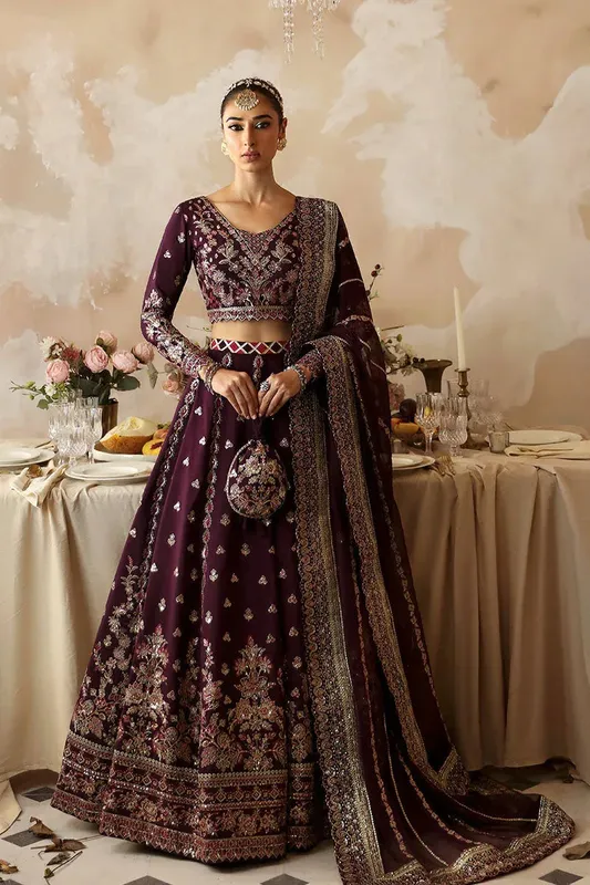 Gulaal Shehrnaaz Raw Silk Dark Purple Raw Silk – view 1 – Poshaq