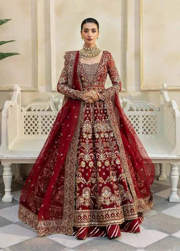 Gulaal Wedding Formals Red Net – view 1 – Poshaq