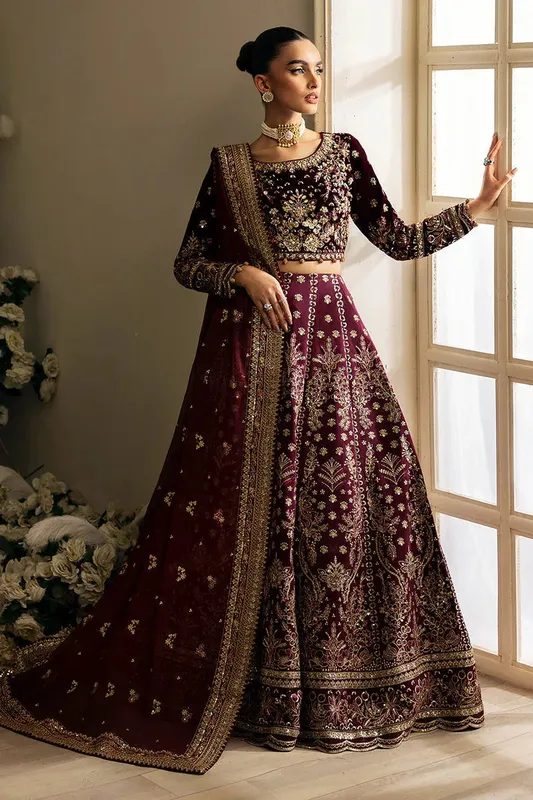 Gulaal Celeste Velvet 24 Dark Maroon Organza – view 1 – Poshaq