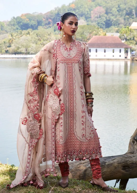 Hussain Rehar Luxury Lawn 25 Beige Organza – view 1 – Poshaq