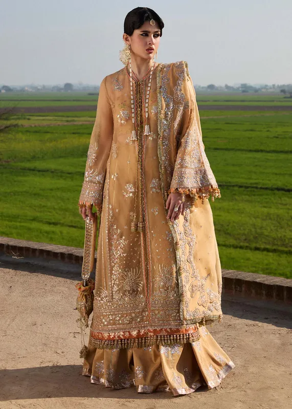 Hussain Rehar Darlings Festive 25 Mustard Raw Silk – view 1 – Poshaq