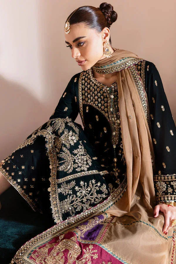 Jazmin Chandni Velvet Formals 25 Black Organza – view 4 – Poshaq
