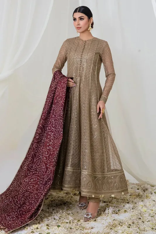 Jazmin Embroidered Collection Brown Net – view 1 – Poshaq