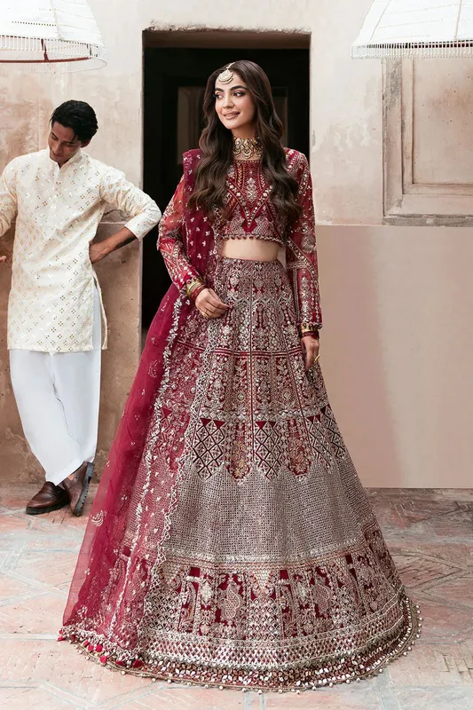 Shagna Mehfil Festive Formals Red Organza – view 1 – Poshaq