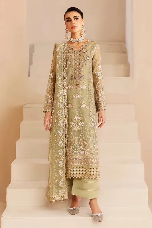 Ramsha Festive Formals Pistachio Organza – view 1 – Poshaq