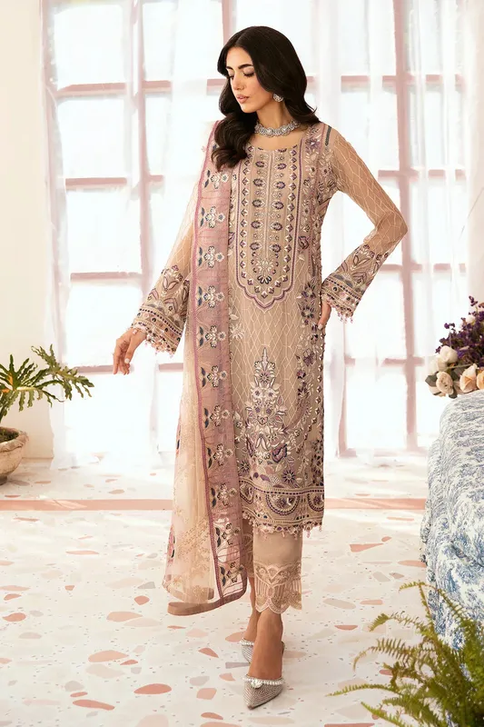 Ramsha Ramsha Collection pale brown Organza – view 1 – Poshaq