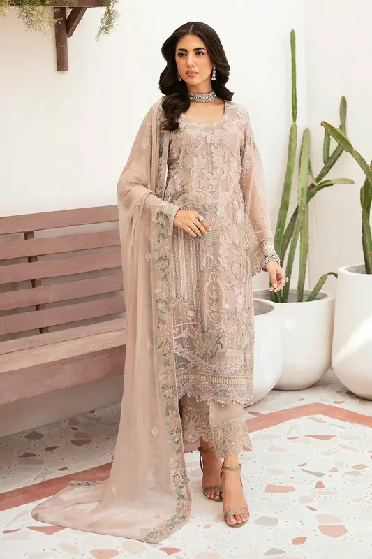 Ramsha Ramsha Collection pale brown Organza – view 1 – Poshaq