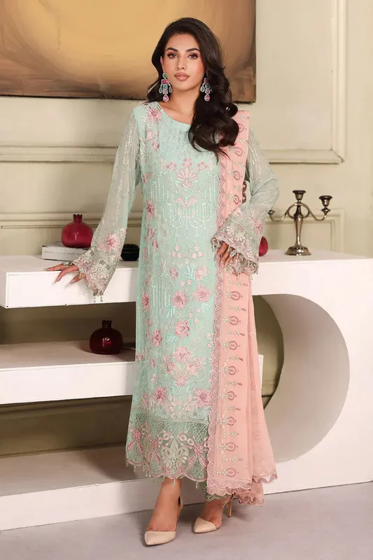 Ramsha Ramsha Collection Light Ferozi Organza – view 1 – Poshaq
