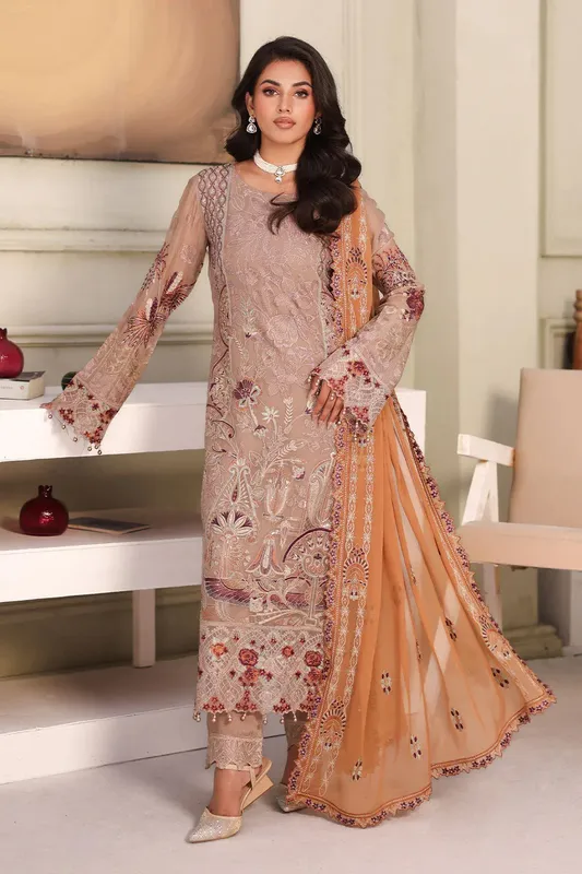 Ramsha Ramsha Collection light brown Organza – view 1 – Poshaq