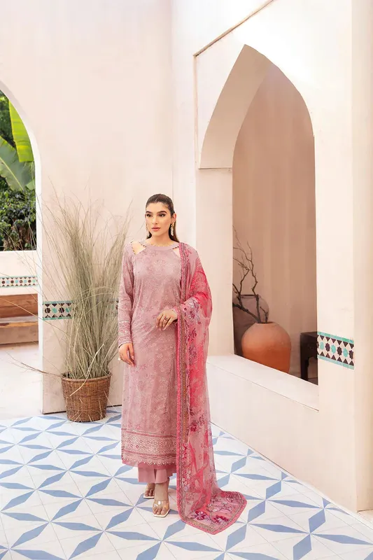 Ramsha Andaaz Collection Pink Organza – view 1 – Poshaq