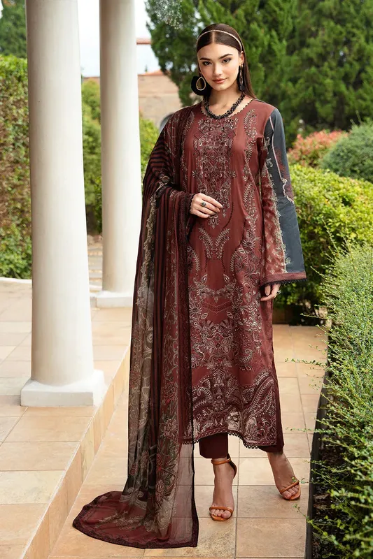 Ramsha Riwayat Lawn Collection Brown Organza – view 1 – Poshaq