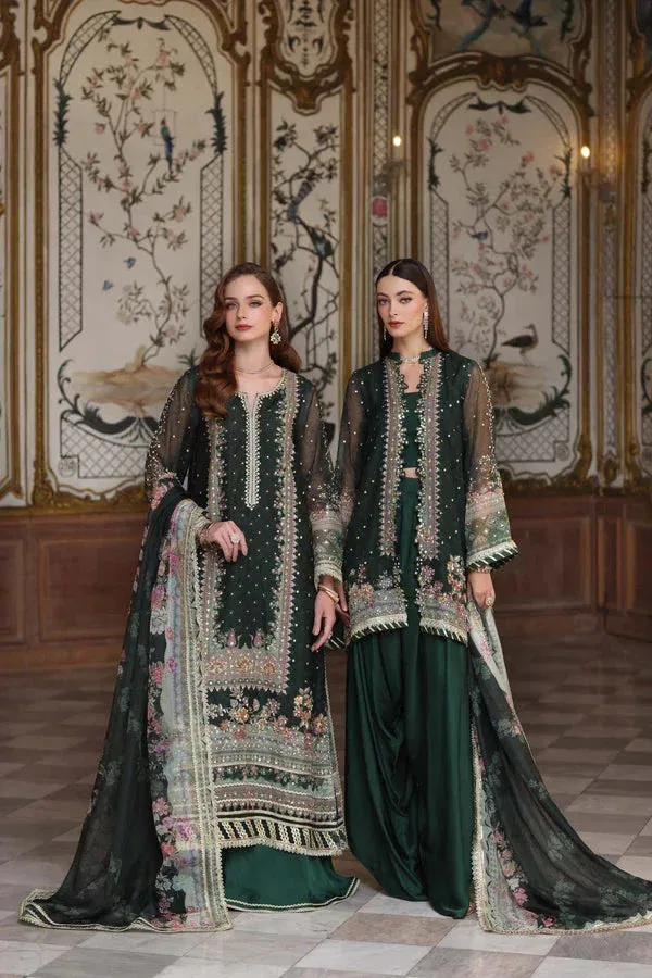 Noor by Saadia Asad Festive 25 green Chiffon – view 3 – Poshaq