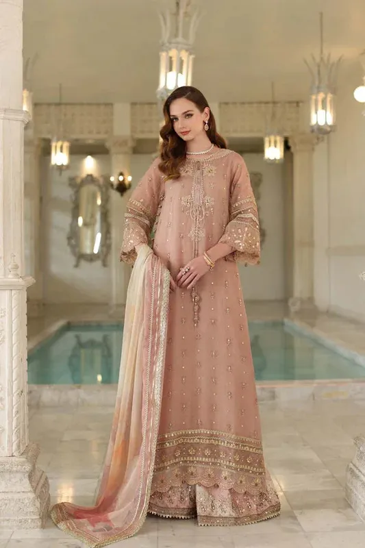 Noor by Saadia Asad Festive 25 tea pink Chiffon – view 1 – Poshaq