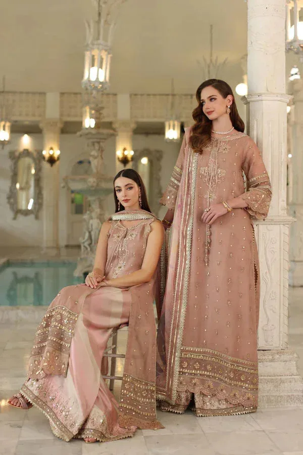 Noor by Saadia Asad Festive 25 tea pink Chiffon – view 3 – Poshaq