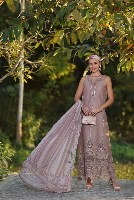 Noor by Saadia Asad Luxe Chikankari 25 Pinkish Gray Organza – view 1 – Poshaq