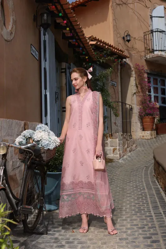 Noor by Saadia Asad Luxe Chikankari 25 Pink Chiffon – view 1 – Poshaq