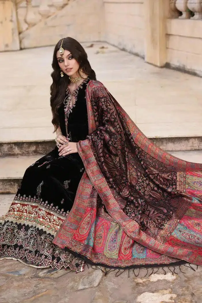Noor by Saadia Asad Kaani Wedding Formals 23 Velvet – view 3 – Poshaq