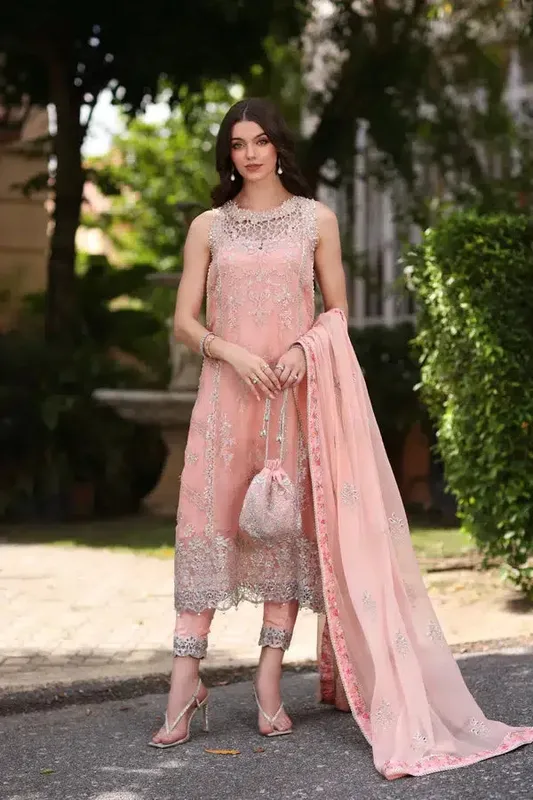 Noor by Saadia Asad Chiffon Formals 23 Pink Raw Silk – view 1 – Poshaq