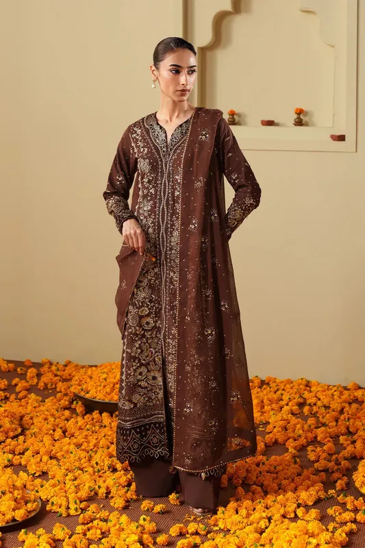 Neeshay New Shagun Chocolate Brown Raw Silk – view 1 – Poshaq