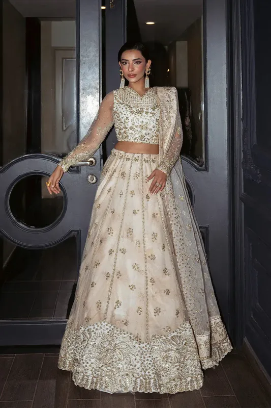 Neeshay Parinaaz Formals Off White Organza – view 1 – Poshaq