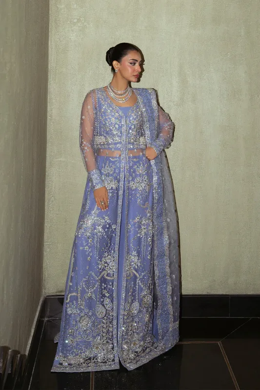 Neeshay Parinaaz Formals Blue Gray Organza – view 1 – Poshaq