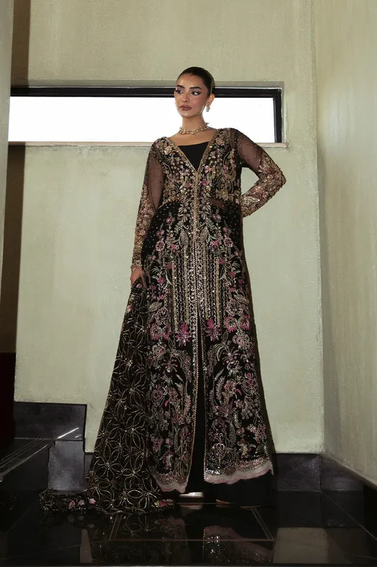 Neeshay Parinaaz Formals Black Organza – view 1 – Poshaq