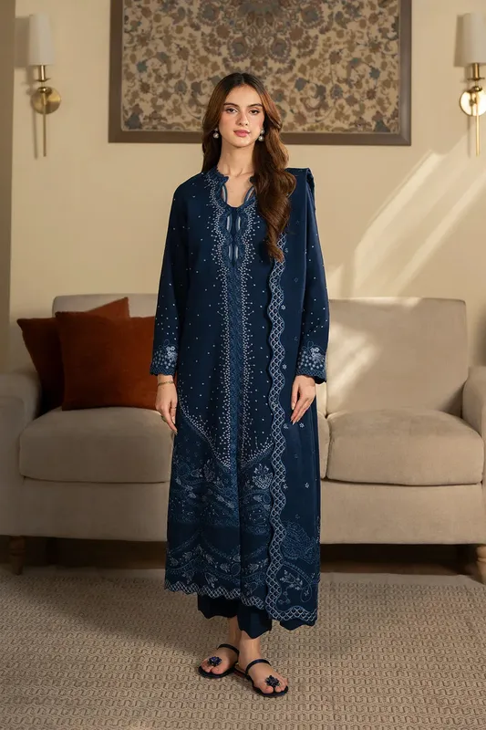 Neeshay Winter Reverie Navy Blue Karandi – view 1 – Poshaq
